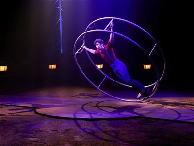 Photo 1 de Compagnie Alexis Gruss dans Origines