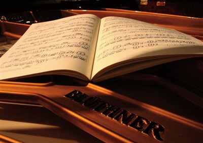 Piano Blüthner