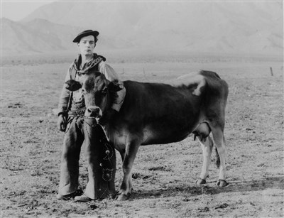 Photo 2 de Ciné Concert Buster Keaton