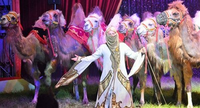 Photo 1 de Le cirque Zavatta dans La grande Escale | Guérande