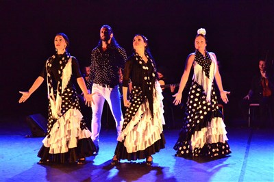AL ANDALUS FLAMENCO NUEVO