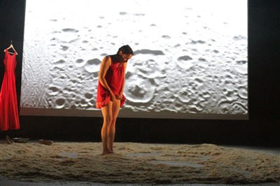 Photo 3 de Domus Terra