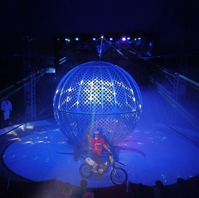 Photo 1 de Cirque Nicolas Zavatta Douchet | à Vertou