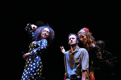 Photo 1 de Carmen flamenco