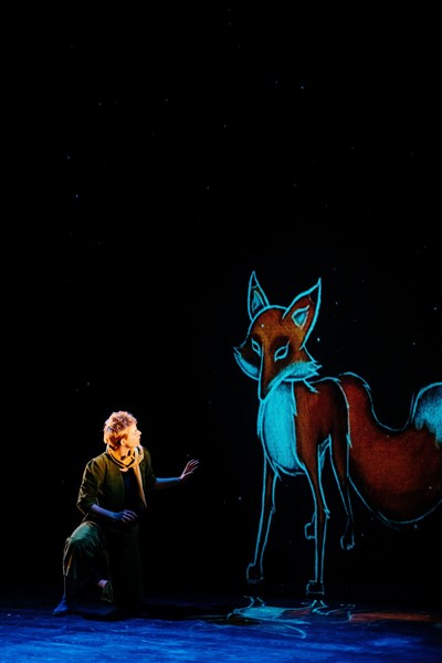 Photo 1 de Le Petit Prince