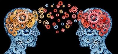 Photo 1 de Tout ce que vous avez toujours voulu savoir sur votre cerveau ...