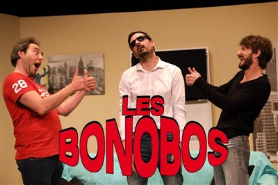 Photo 2 de Les bonobos