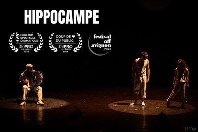 Hippocampe prix