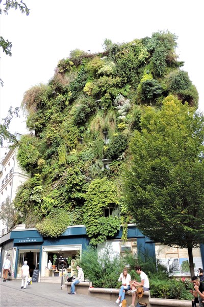 Le mur végétal