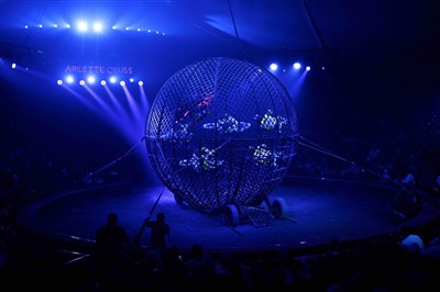 Photo 1 de Le Cirque Arlette Gruss dans 40 ans, la tournée anniversaire | Aix les Bains