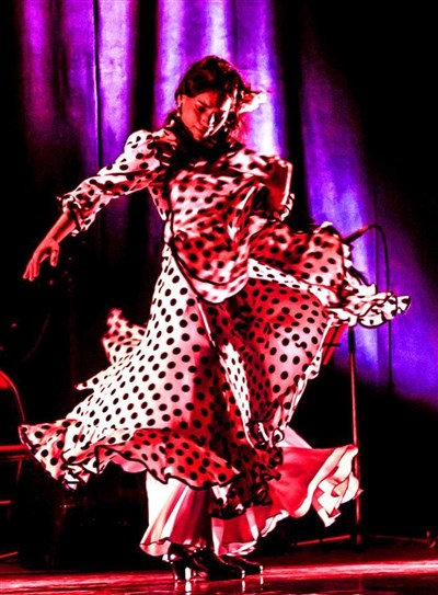 AL ANDALUS FLAMENCO NUEVO