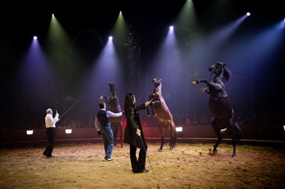 Photo 1 de Les Folies Gruss