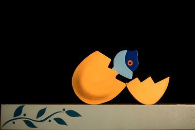Photo 2 de Le bel oiseau