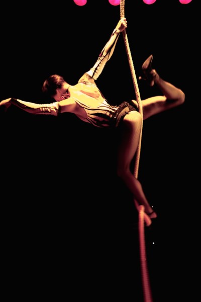 Photo 6 de Le Cirque de Noël Bouglione