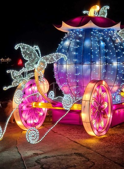 Photo 3 de Les Lumières Légendaires dans le Monde Merveilleux des Couleurs