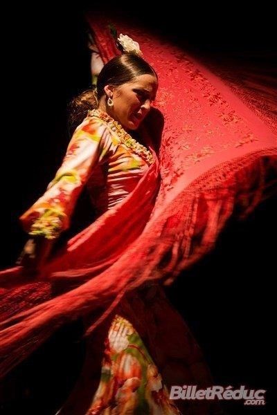 Photo 1 de Puro Flamenco