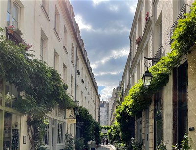 Photo 2 de Visite guidée : Cours et passages du Faubourg | par CulturMoov