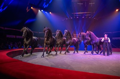 Photo 4 de Le cirque Arlette Gruss dans essentiel | Arras