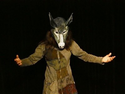 Photo 1 de Histoires de fables