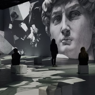 Photo 4 de Leonardo versus Michelangelo | Le défi immersif