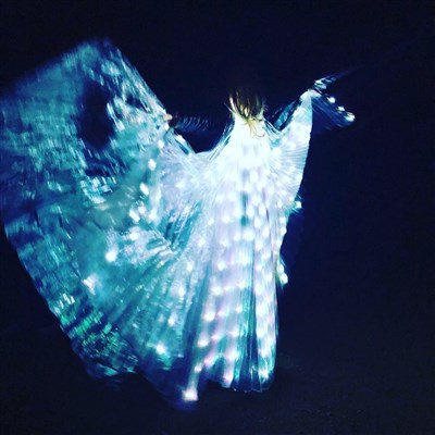 Wings in the moon Veronica Antonelli 
