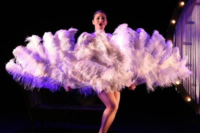 Comment et surtout pourquoi les grands éventails de plumes existent ???