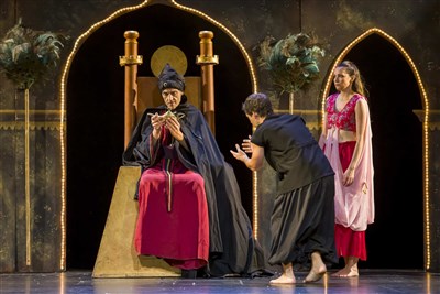 Photo 1 de Aladin