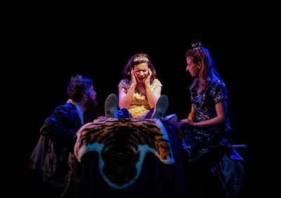 princesse au petit pois 2