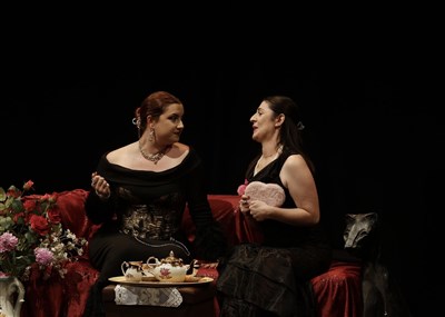Photo du spectacle 