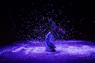 Photo 1 de Les paillettes de leur vie ou la paix déménage