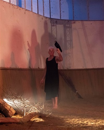 Photo 2 de Bakhaï, le cri du vivant
