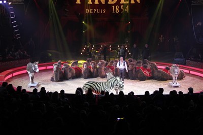 Photo 4 de Cirque Pinder dans La Légende ! | - Toulouse