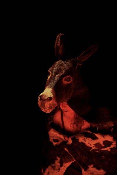 Peau d'Âne