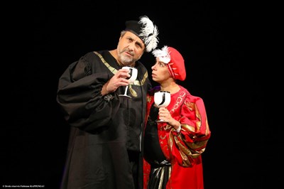 Photo 1 de L'incroyable épopée de François 1er