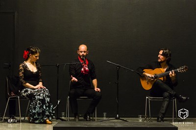 Photo 3 de Concert Flamenco : Niño de Gambetta
