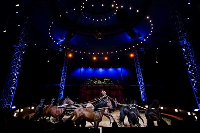 Photo 7 de Compagnie Alexis Gruss dans Les Folies Gruss