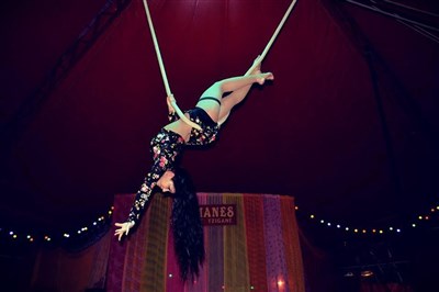 Photo 3 de Romanès Cirque Tzigane dans La Trapéziste des Anges !