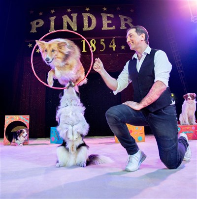 Photo 3 de Cirque Pinder dans Ça c'est du Cirque ! | - Paris