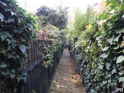 Photo 1 de Visite guidée : Autour de la rue Daguerre ; Demeures d'écrivains, ateliers d'artistes et jardins secrets de Montparnasse | par Pierre-Yves Jaslet
