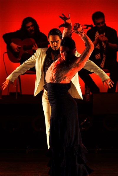 AL ANDALUS FLAMENCO NUEVO