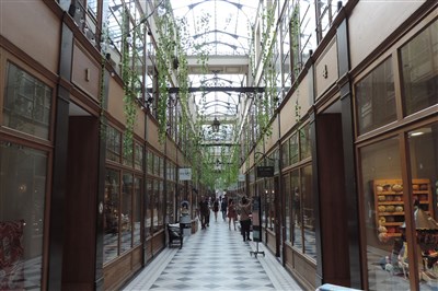 passage du cerf