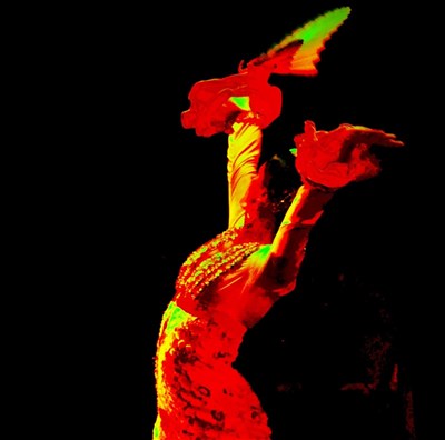 AL ANDALUS FLAMENCO NUEVO