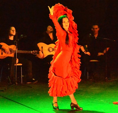 AL ANDALUS FLAMENCO NUEVO