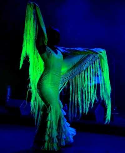 AL ANDALUS FLAMENCO NUEVO