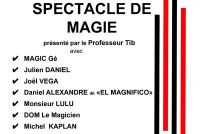 Photo 1 de Spectacle de magie et mentalisme