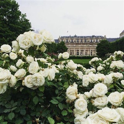 Photo 4 de Visite guidée : Le Palais-Royal est un beau palais, toutes les jeunes filles sont à marier...