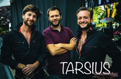 Tarsius