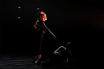 Photo 2 de La Belle et la Bête