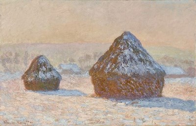 Photo 1 de Visites guidées de l'exposition Monet - Peindre le temps au musée de l'Orangerie