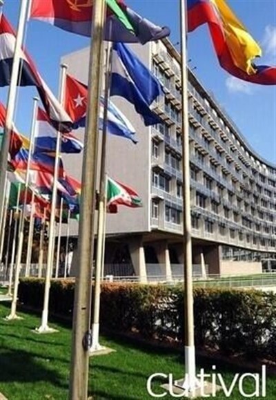Photo 1 de Visite guidée : Les coulisses de l'UNESCO